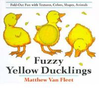 FUZZYYELLOWDUCKLINGS